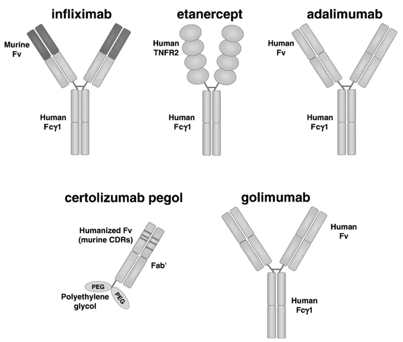 Comparison chart of TNF inhibitor mechanisms and clinical profiles
