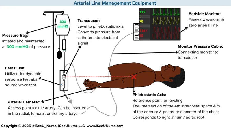 ICU hemodynamic monitoring setup with arterial line and central venous catheter