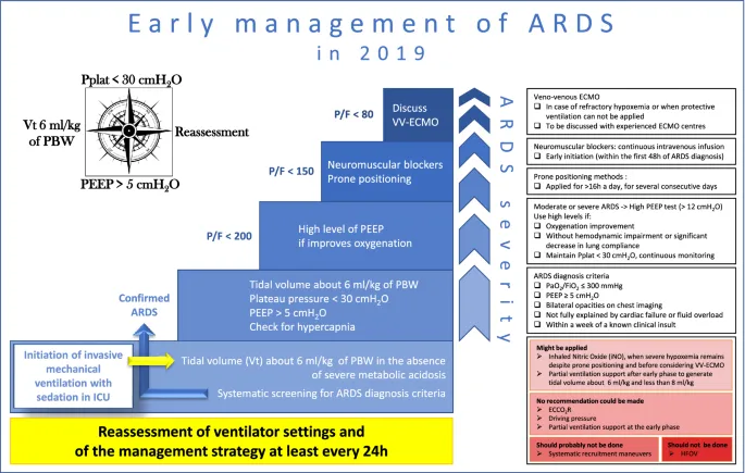 Mechanical ventilation settings showing lung protective strategy parameters