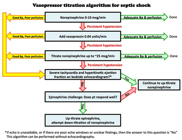 Vasopressor dose escalation chart showing norepinephrine and vasopressin titration