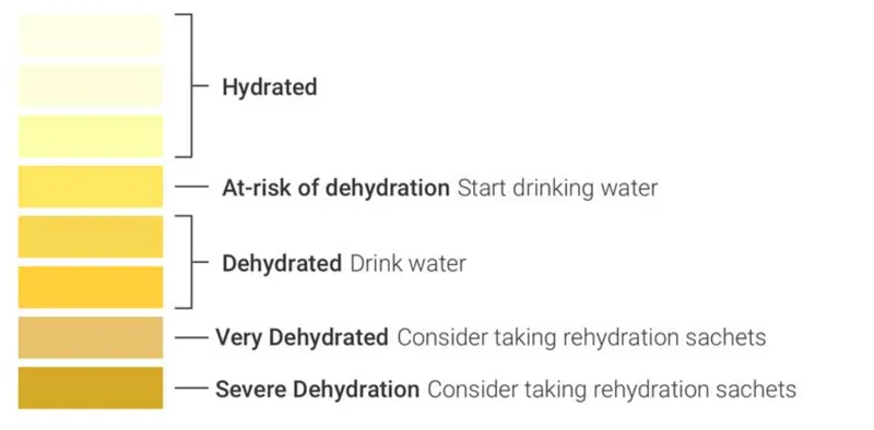 Hydration status monitoring chart for athletes