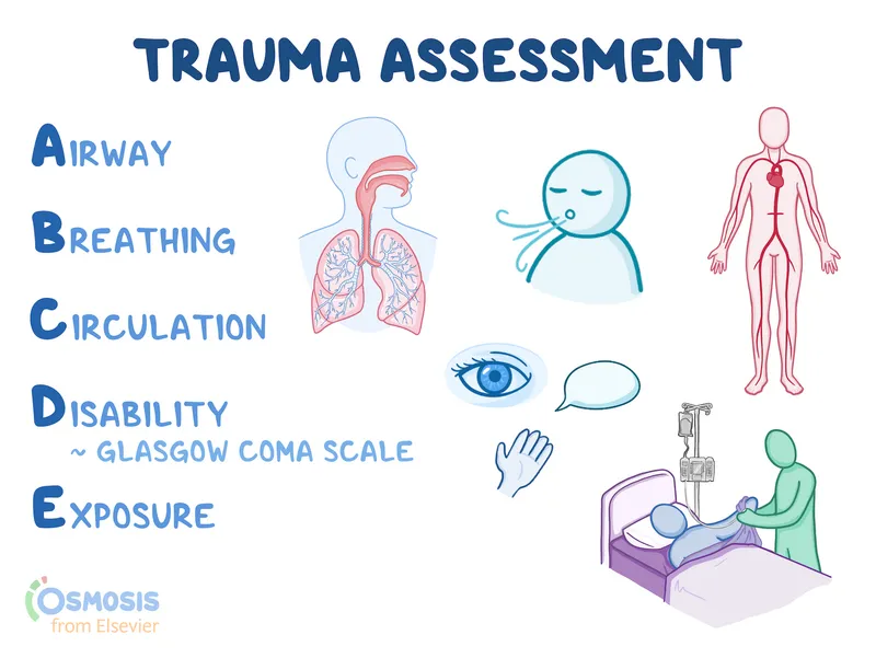 ATLS primary survey systematic approach