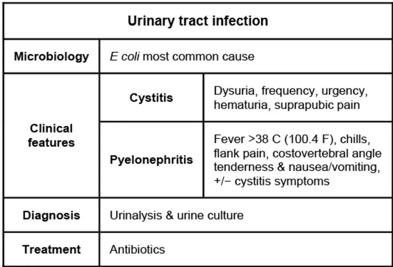 Figure 1: Urine dipstick showing positive nitrites and leukocytes