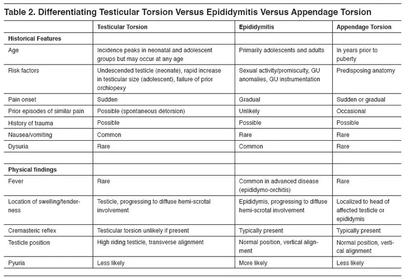 Clinical decision tree for acute scrotal pain evaluation
