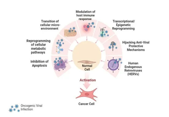viral oncogenesis mechanisms