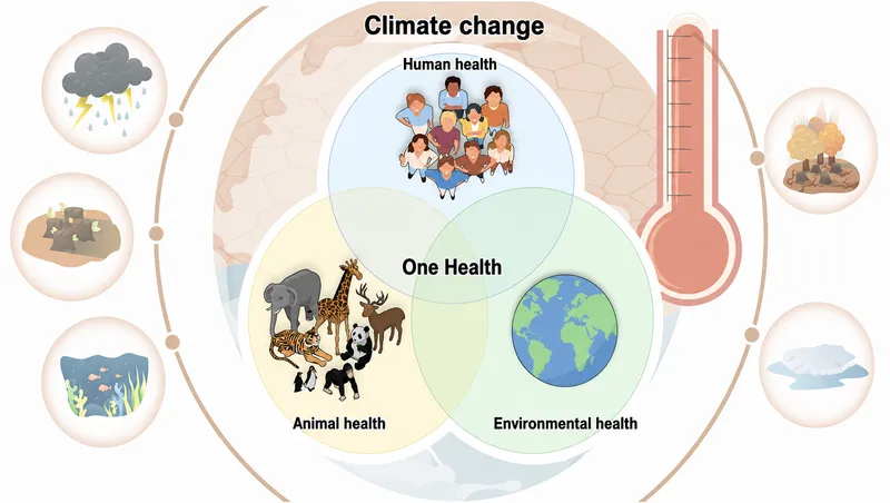 One Health Triad Diagram