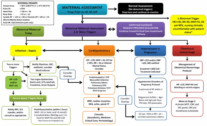 Postpartum emergency assessment protocol and decision tree