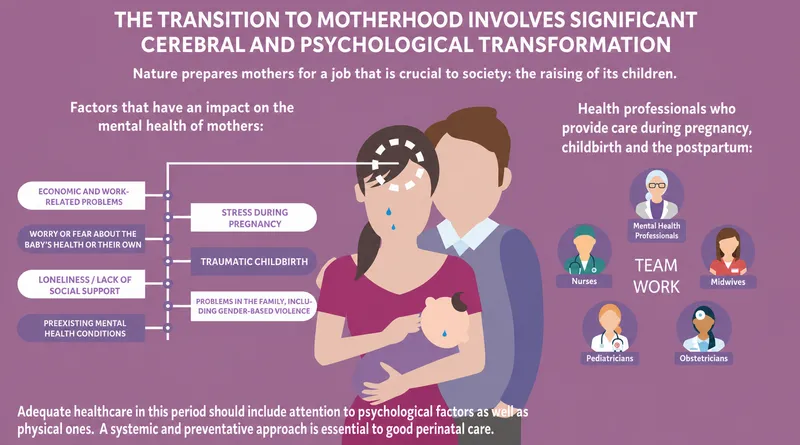 Maternal Mental Health Factors and Healthcare Team