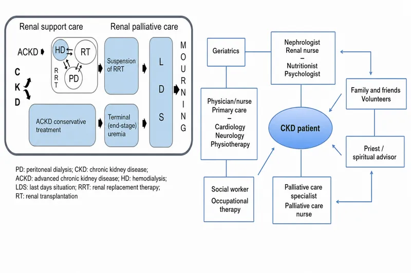 Renal Supportive and Palliative Care Diagram
