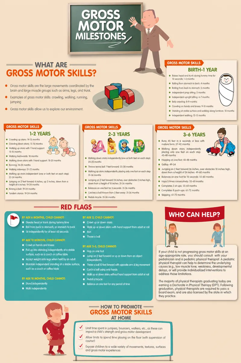 Gross Motor Milestones and Red Flags Chart