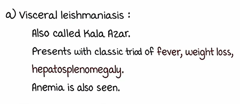 visceral leishmaniasis splenomegaly