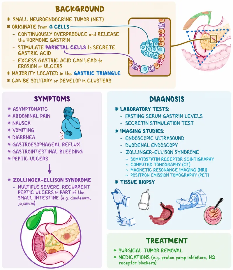 Zollinger-Ellison Syndrome: Overview