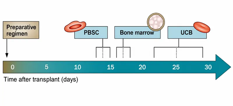 HSCT Engraftment Time by Stem Cell Source