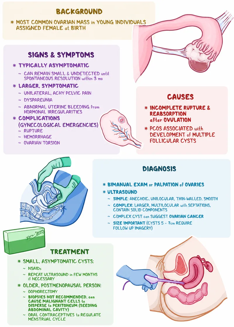 Ovarian Cysts: Signs, Symptoms, Diagnosis, Treatment
