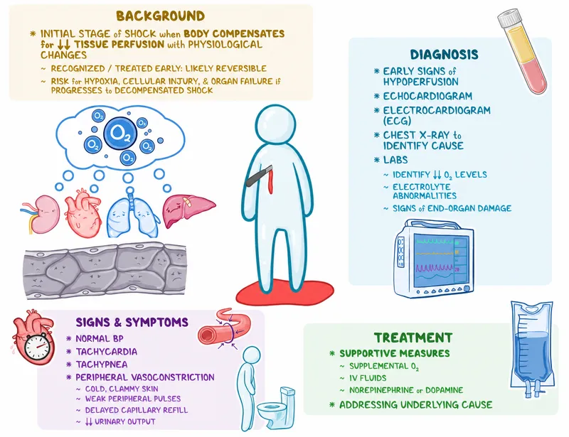 Compensated Shock: Background, Diagnosis, Signs, Treatment