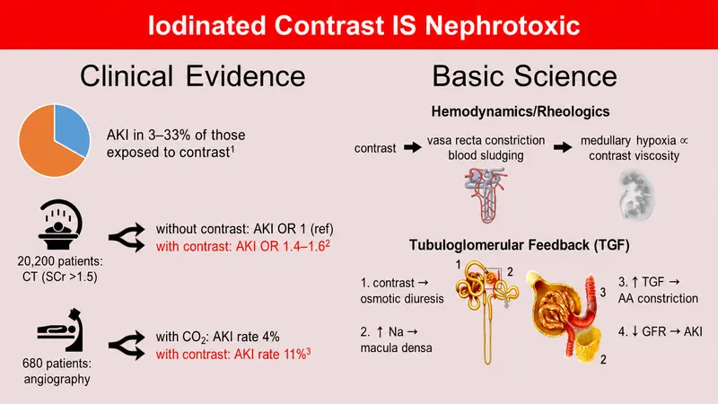 Iodinated Contrast Nephrotoxicity: Clinical & Basic Science