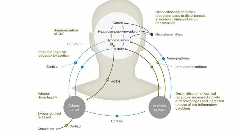 HPA Axis Regulation