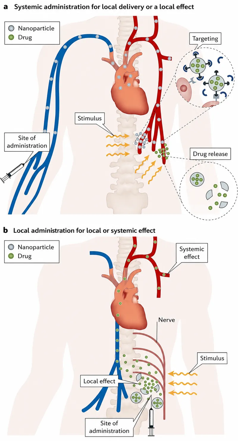 Nanoparticle delivery of local anesthetics