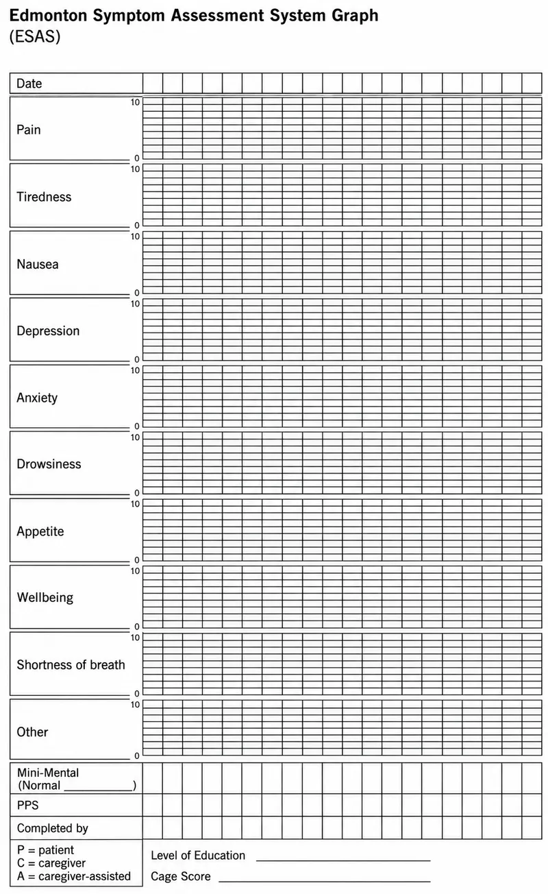 Comprehensive symptom assessment chart for end-of-life care