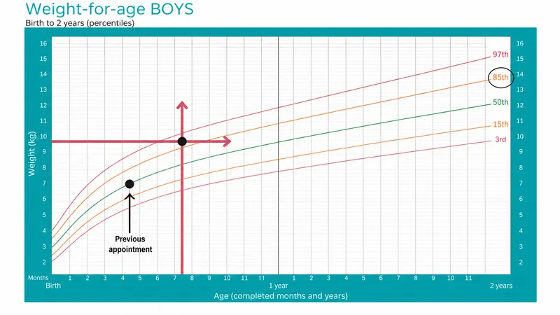 WHO Growth Chart: Boys Weight-for-Age (Birth to 2 Years)