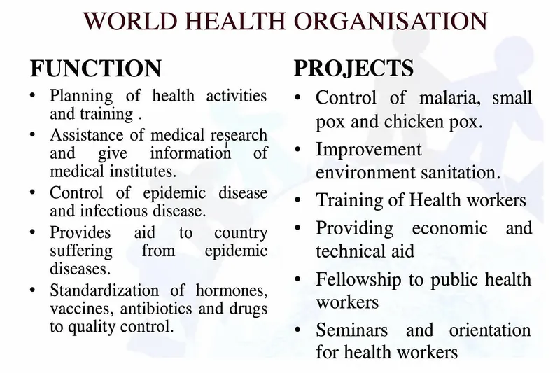 WHO Functions and Projects