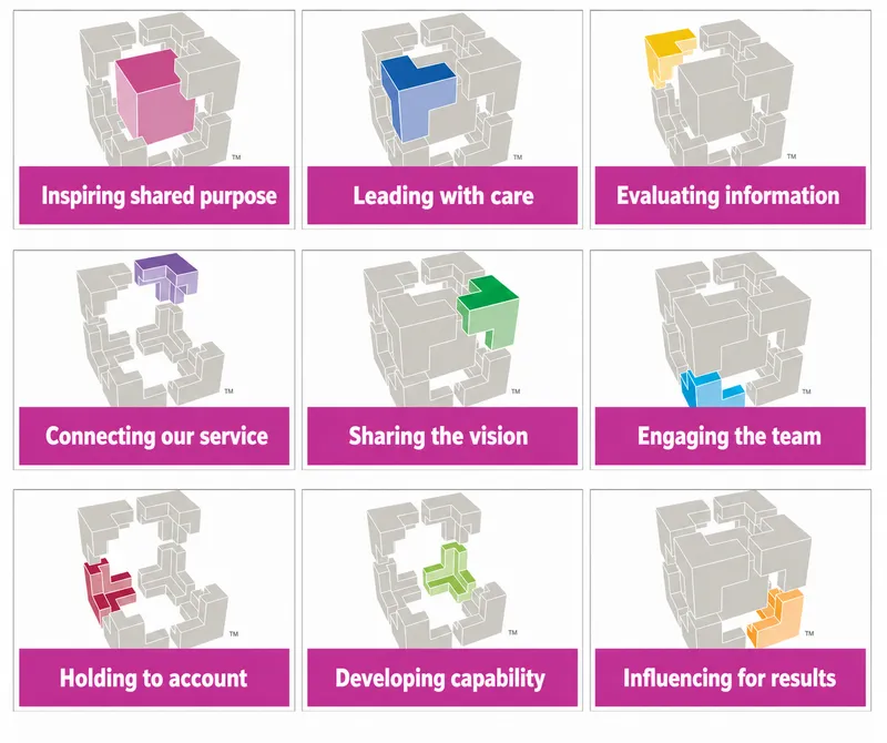 NHS Healthcare Leadership Model