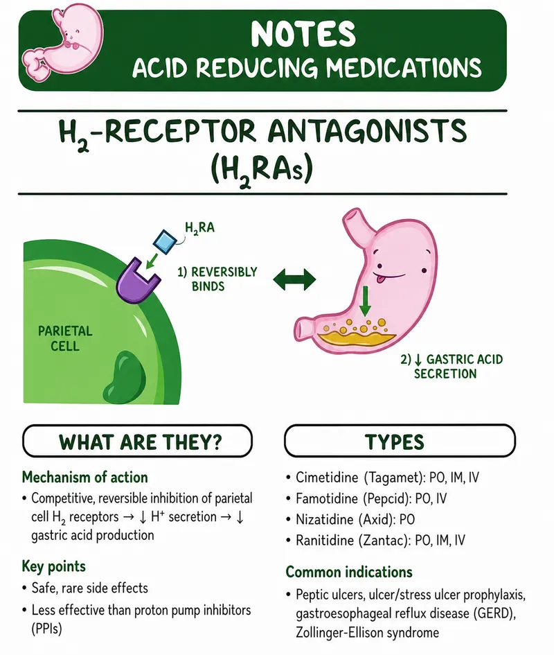 H2 Receptor Antagonists Mechanism of Action