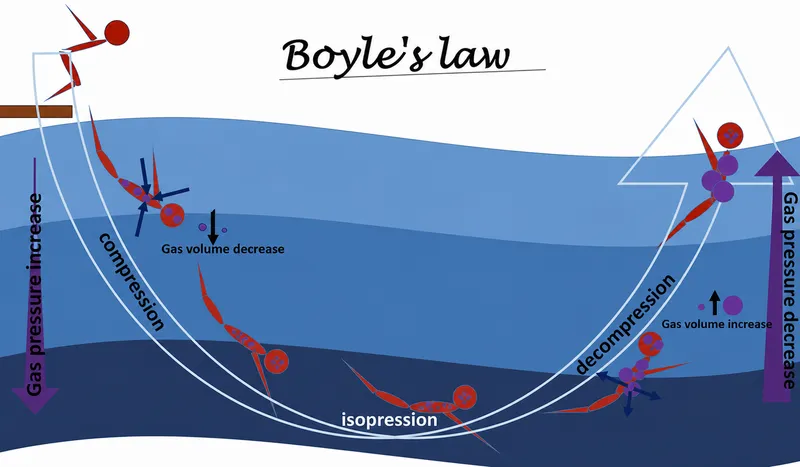 Boyle's Law in Diving: Gas Volume and Pressure