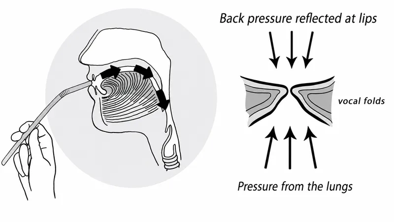 SOVTEE exercise and vocal fold pressure