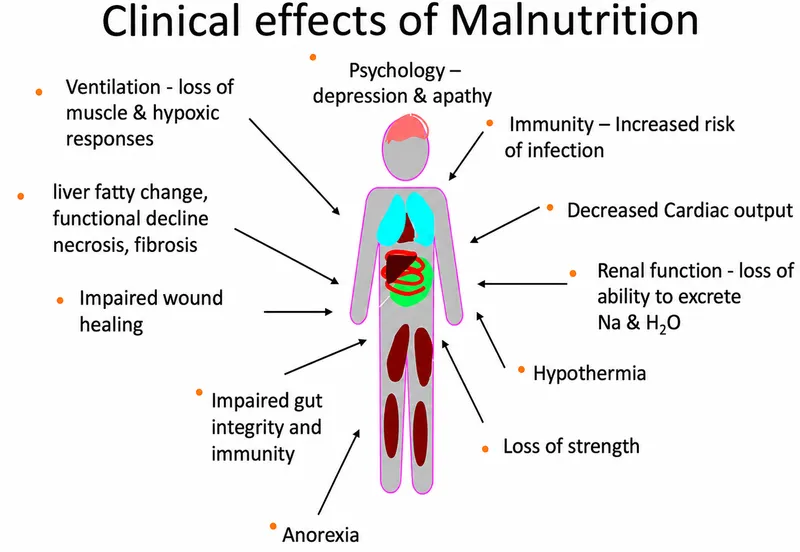 Clinical effects of malnutrition