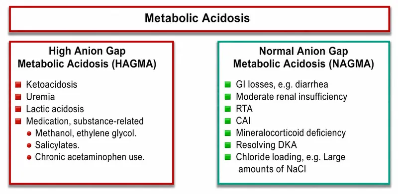 Metabolic Acidosis: High vs. Normal Anion Gap Causes