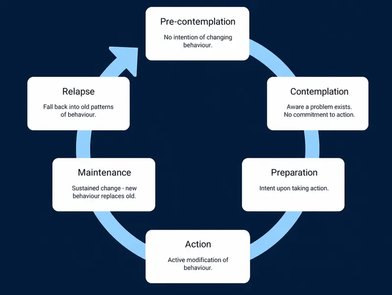 Transtheoretical model stages of change circular diagram showing progression through behavior modification