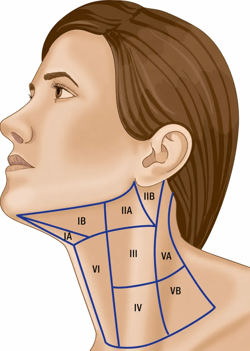 Neck Lymph Node Levels