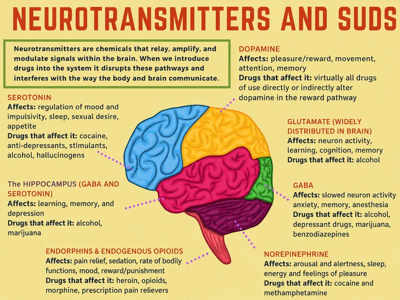 Neurotransmitters and SUDs: Brain regions and affected drugs