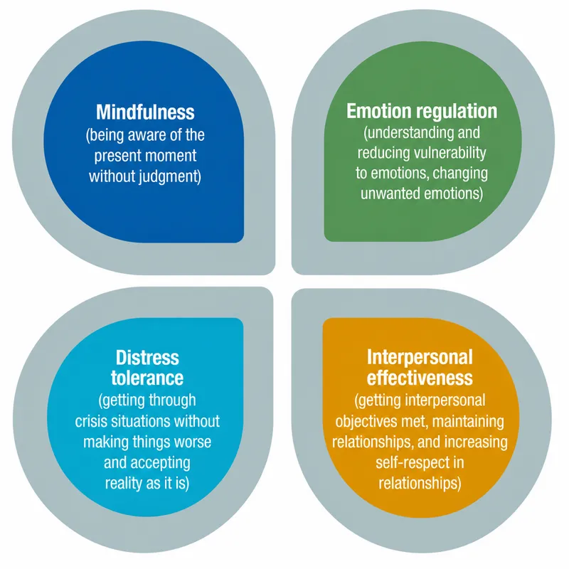 Four Core DBT Skills