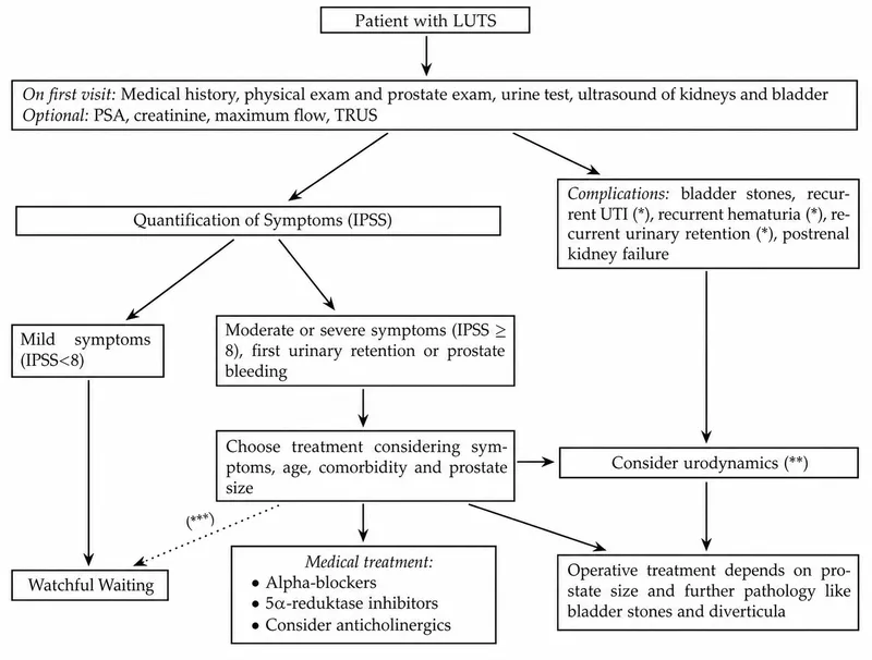 Treatment algorithm for benign prostatic hyperplasia management