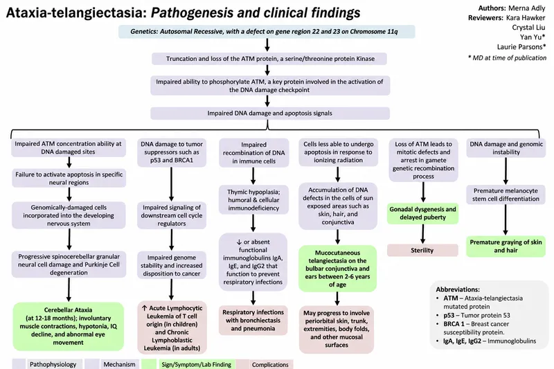 Ataxia-Telangiectasia: Pathogenesis and Clinical Findings