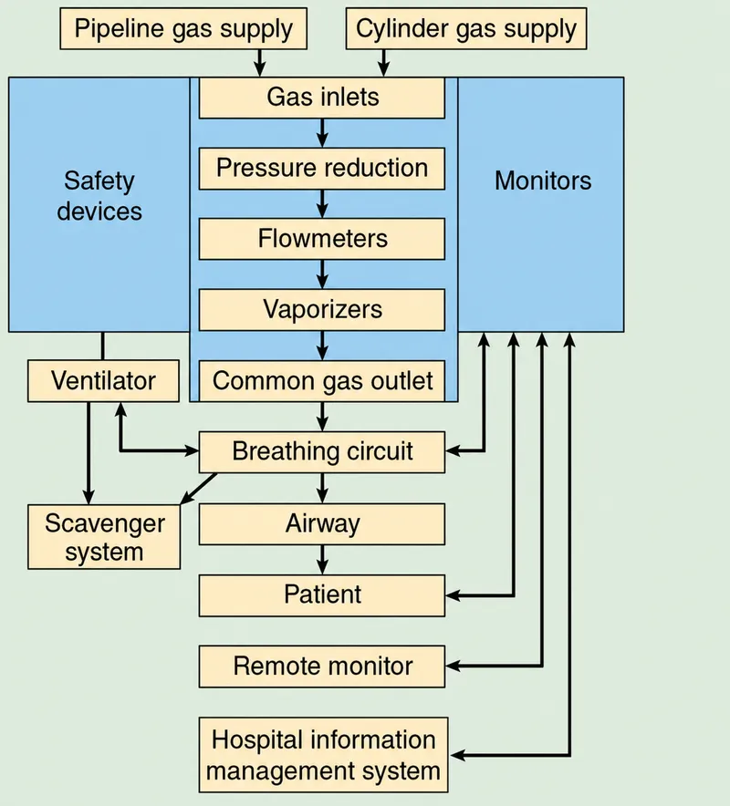 Anesthesia Machine Safety Features and Gas Flow