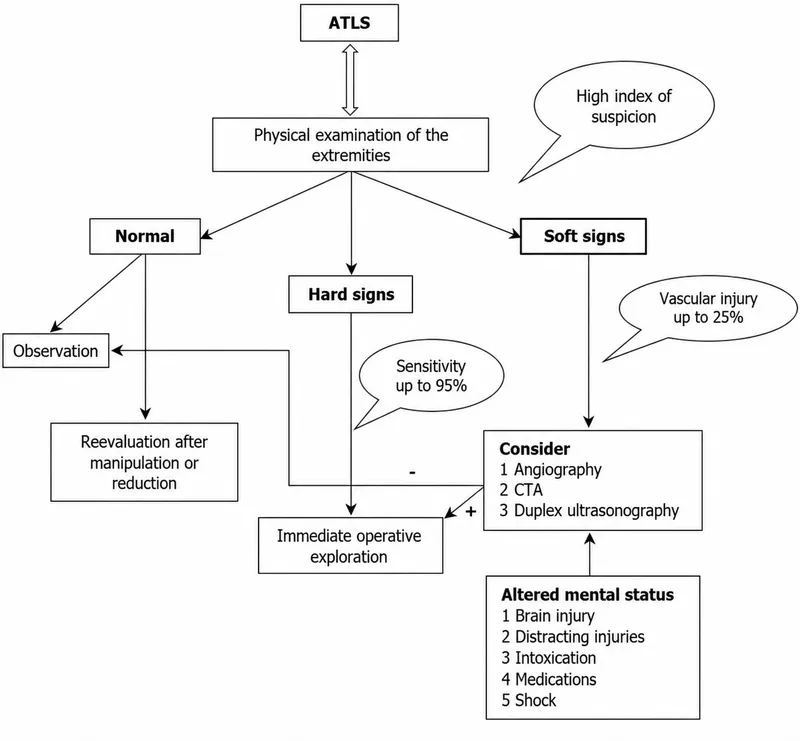 Algorithm for vascular injury assessment