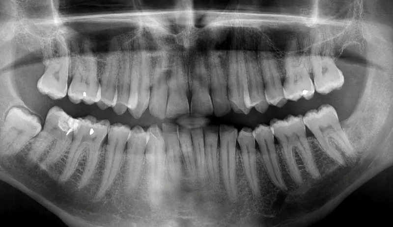 Dental Record Software Interface