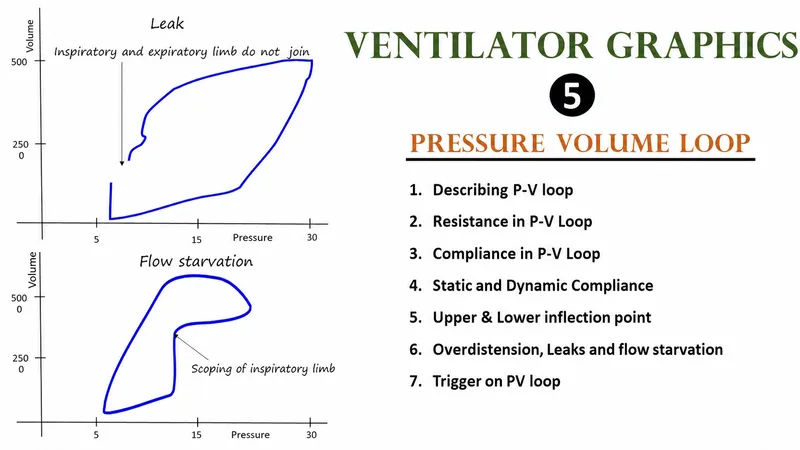 Mechanical ventilator displaying pressure-volume loops and respiratory parameters