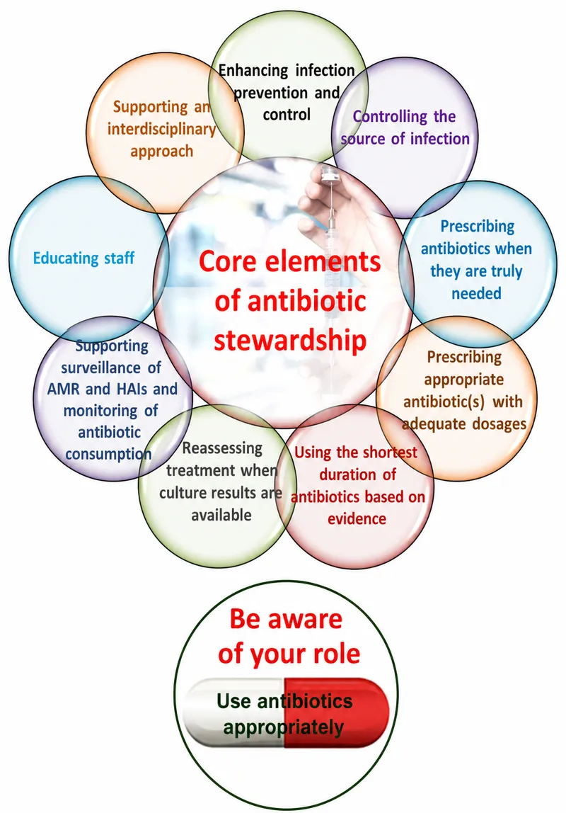 Core elements of antibiotic stewardship diagram