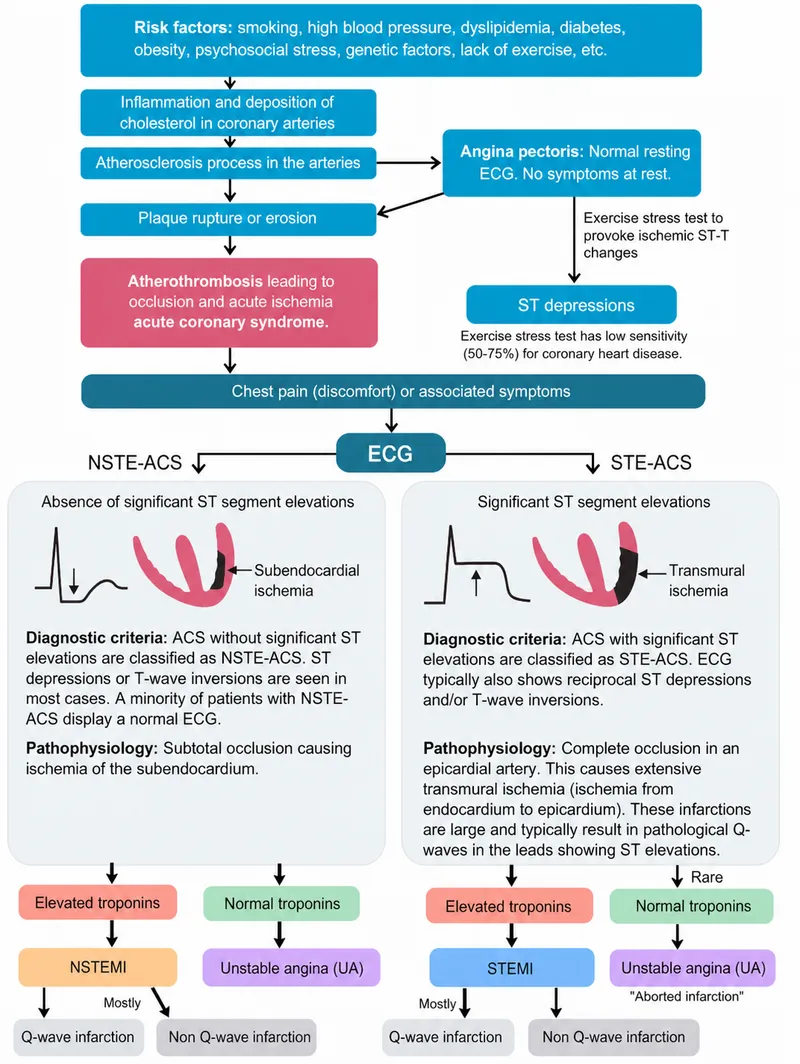 ACS Pathophysiology and ECG Findings