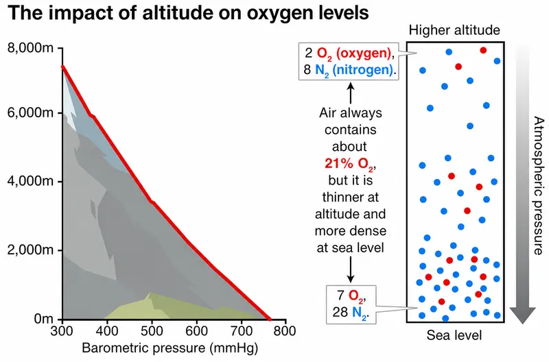 Altitude and oxygen levels