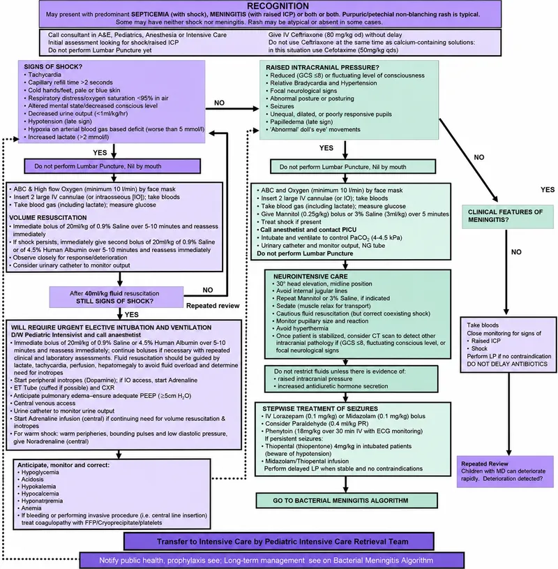 Meningococcal Disease Management Algorithm