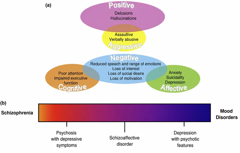 Schizoaffective Disorder Symptom Domains and Spectrum