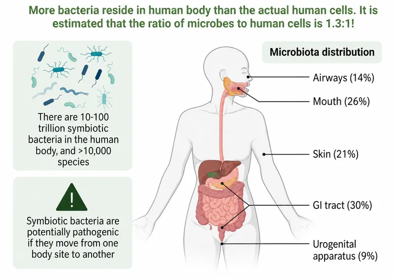 Human microbiome distribution body sites