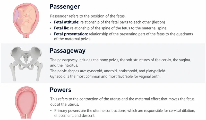 The 5 Ps of Labor: Passenger, Passageway, Powers