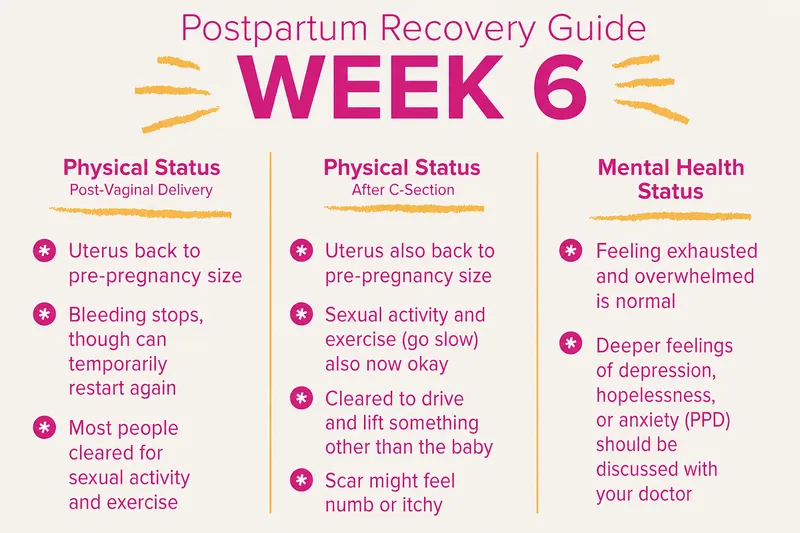 Comprehensive postpartum care timeline showing physiological changes