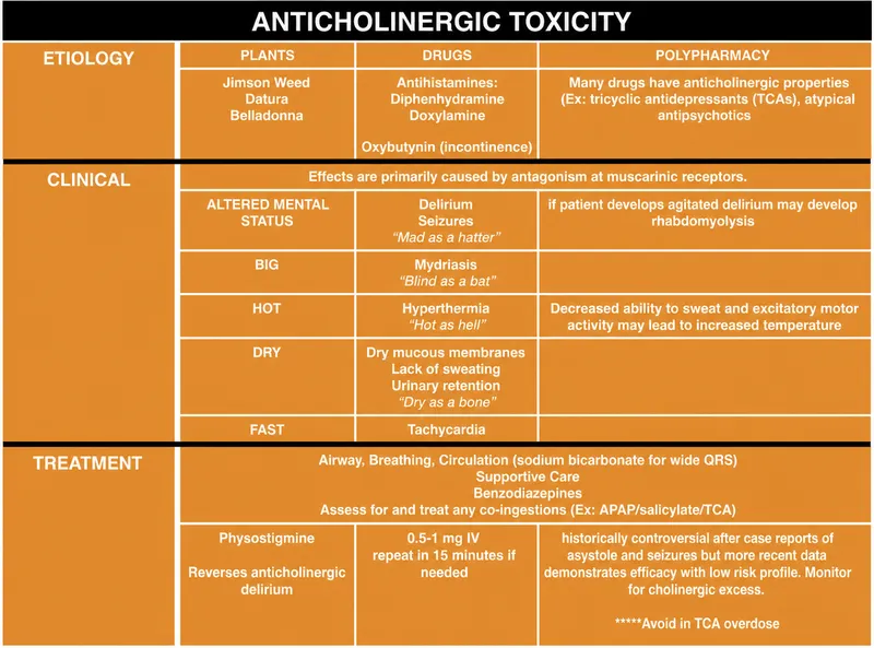 Anticholinergic Toxicity: Etiology, Clinical, Treatment